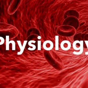physio & anaomy 2 guc lec 10