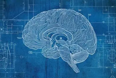 psychology bue lec 5-6