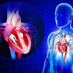 Cardio bue 3-4