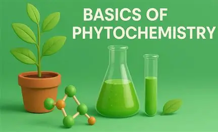Phyto Bue lec 1-2